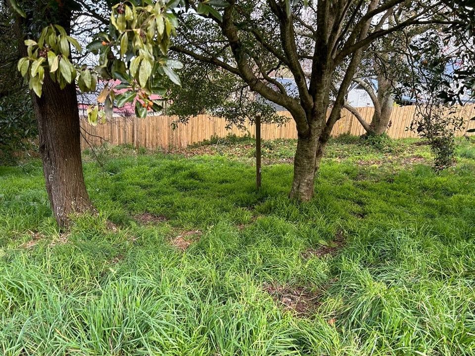 Cleared and tidied property after a Terra Maintenance visit in Gembrook