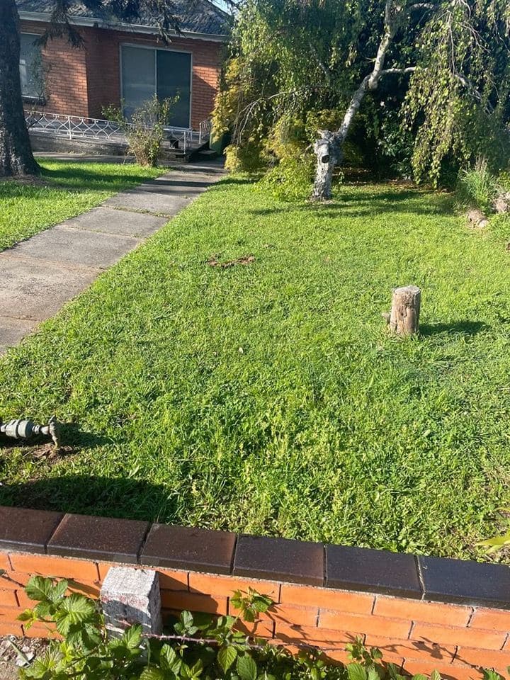 Freshly mown lawn after a Terra Maintenance visit in Gembrook