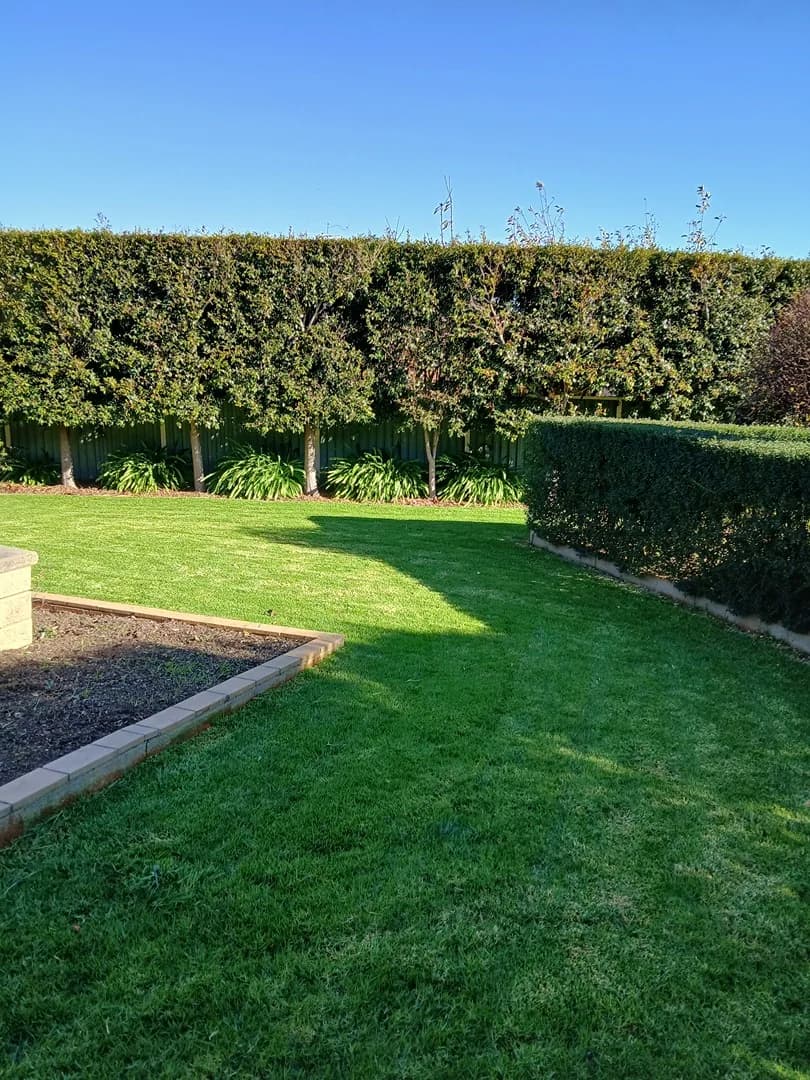 Freshly mown lawn after a Terra Maintenance visit in Harkaway