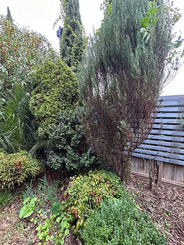 Cleared and tidied property after a Terra Maintenance visit in Lysterfield