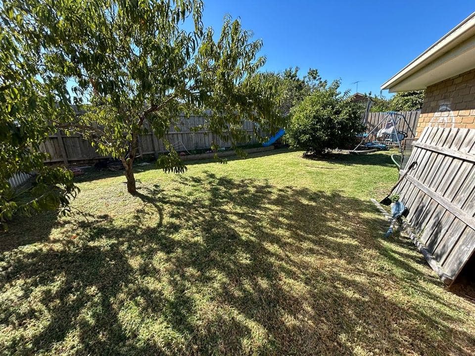 Maintained garden after a Terra Maintenance visit in Narre Warren