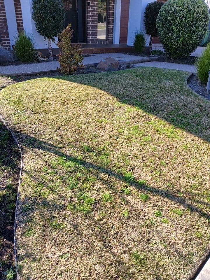 Maintained garden after a Terra Maintenance visit in Narre Warren