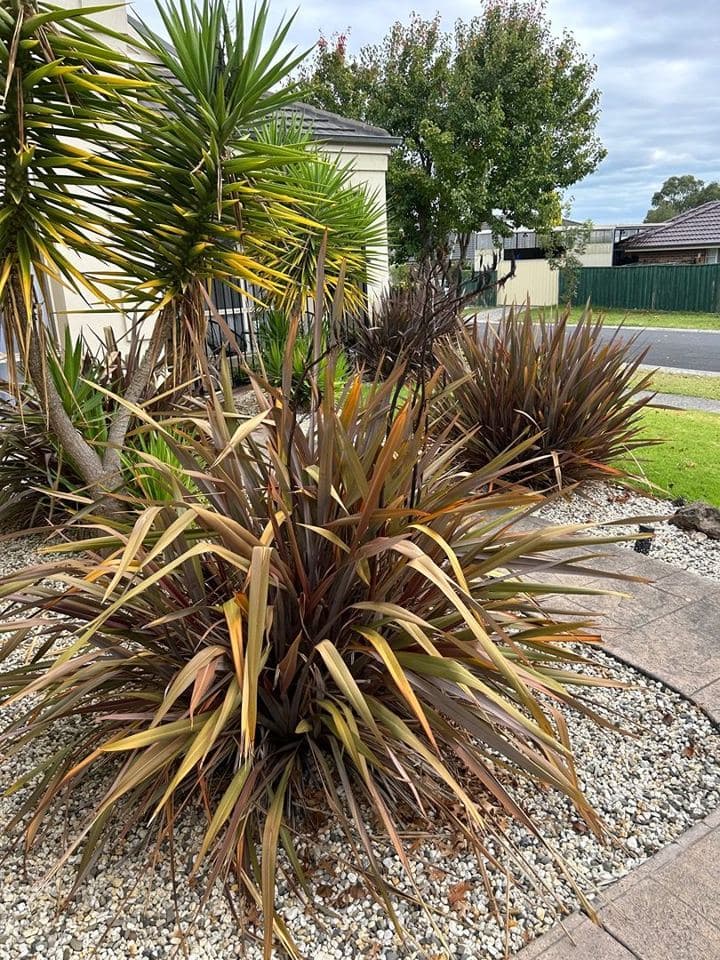 Cleared and tidied property after a Terra Maintenance visit in Narre Warren