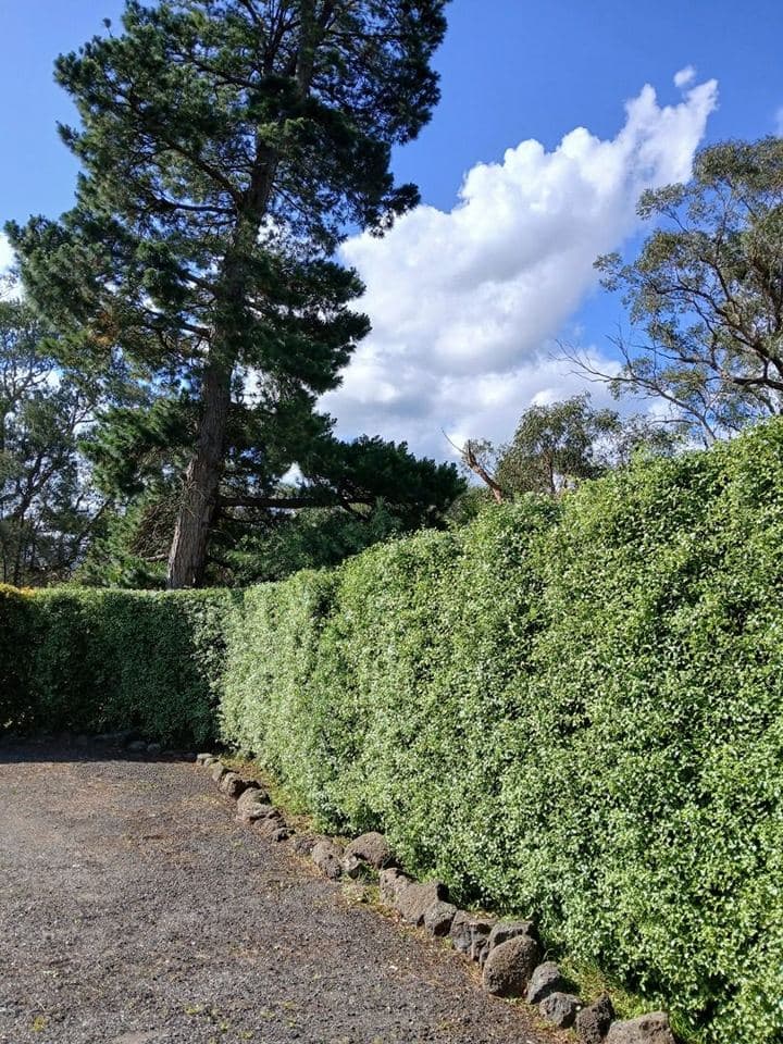 Cleared and tidied property after a Terra Maintenance visit in Narre Warren East