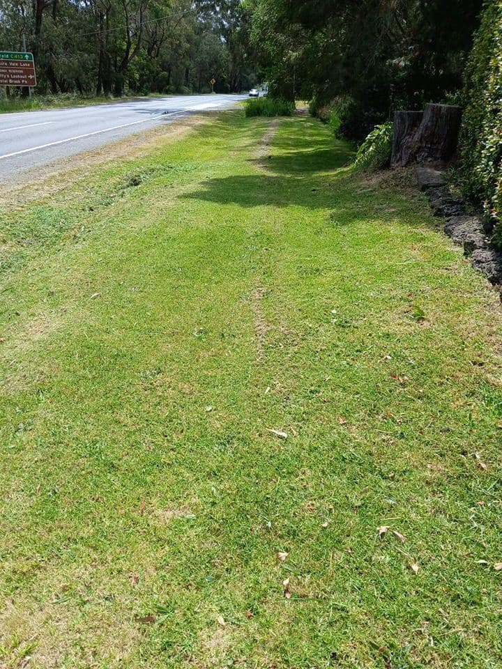 Freshly mown lawn after a Terra Maintenance visit in Narre Warren East