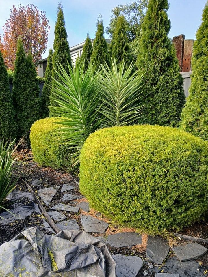 Freshly mown lawn after a Terra Maintenance visit in Narre Warren North