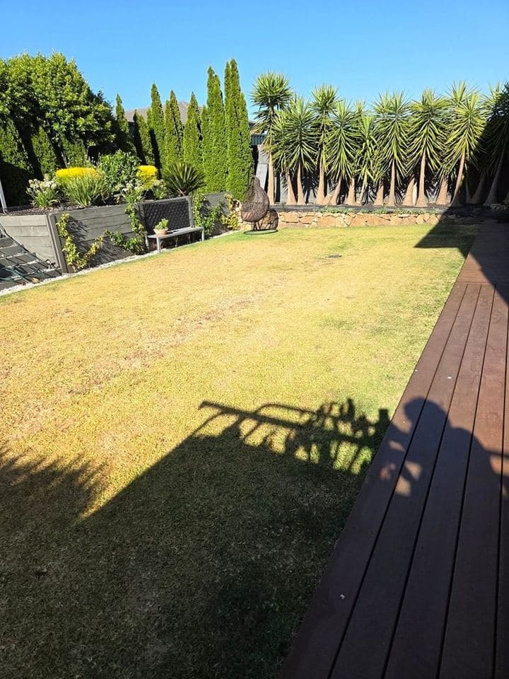 Freshly mown lawn after a Terra Maintenance visit in Narre Warren North