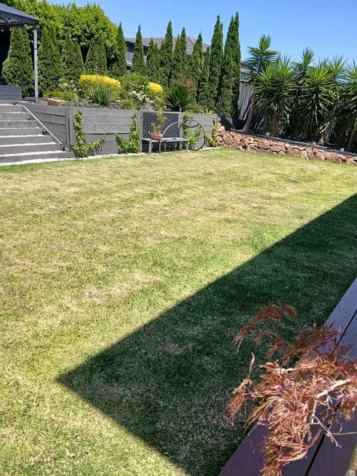 Freshly mown lawn after a Terra Maintenance visit in Narre Warren North