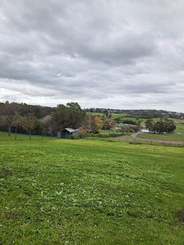 Cleared and tidied property after a Terra Maintenance visit in Narre Warren North