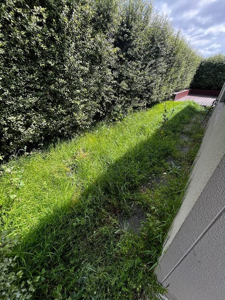 Cleared and tidied property after a Terra Maintenance visit in Officer