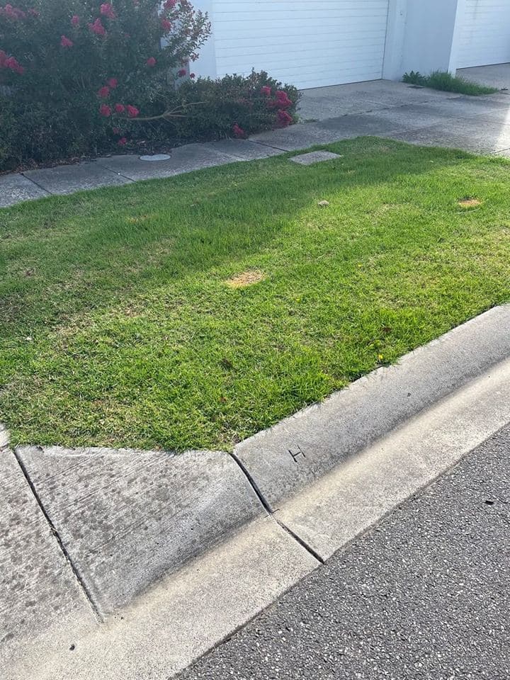 Maintained garden after a Terra Maintenance visit in Officer