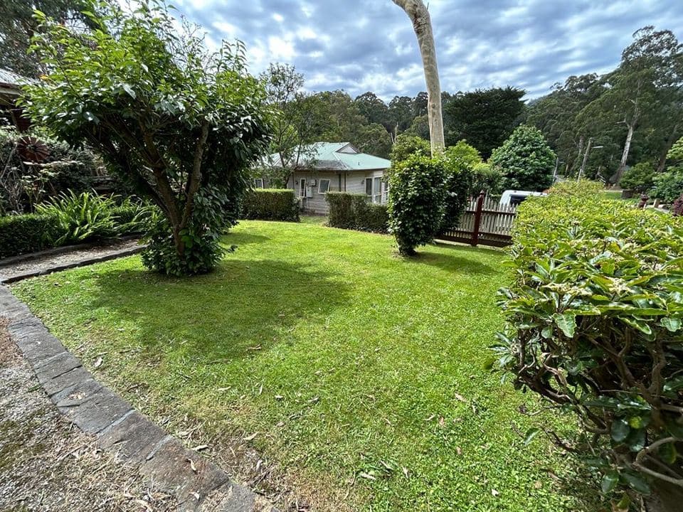 Cleared and tidied property after a Terra Maintenance visit in Tecoma