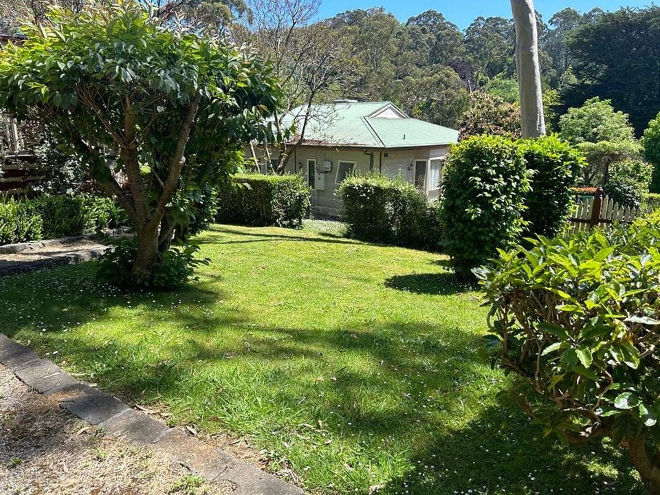 Freshly mown lawn after a Terra Maintenance visit in Tecoma