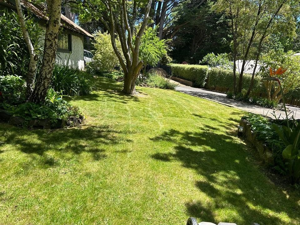 Maintained garden after a Terra Maintenance visit in Tecoma