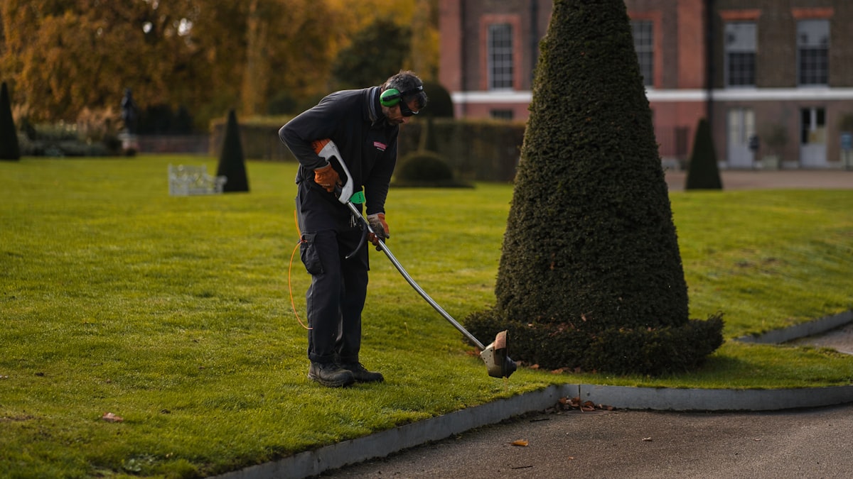2. Essential Grounds Maintenance Practices for the Dandenongs